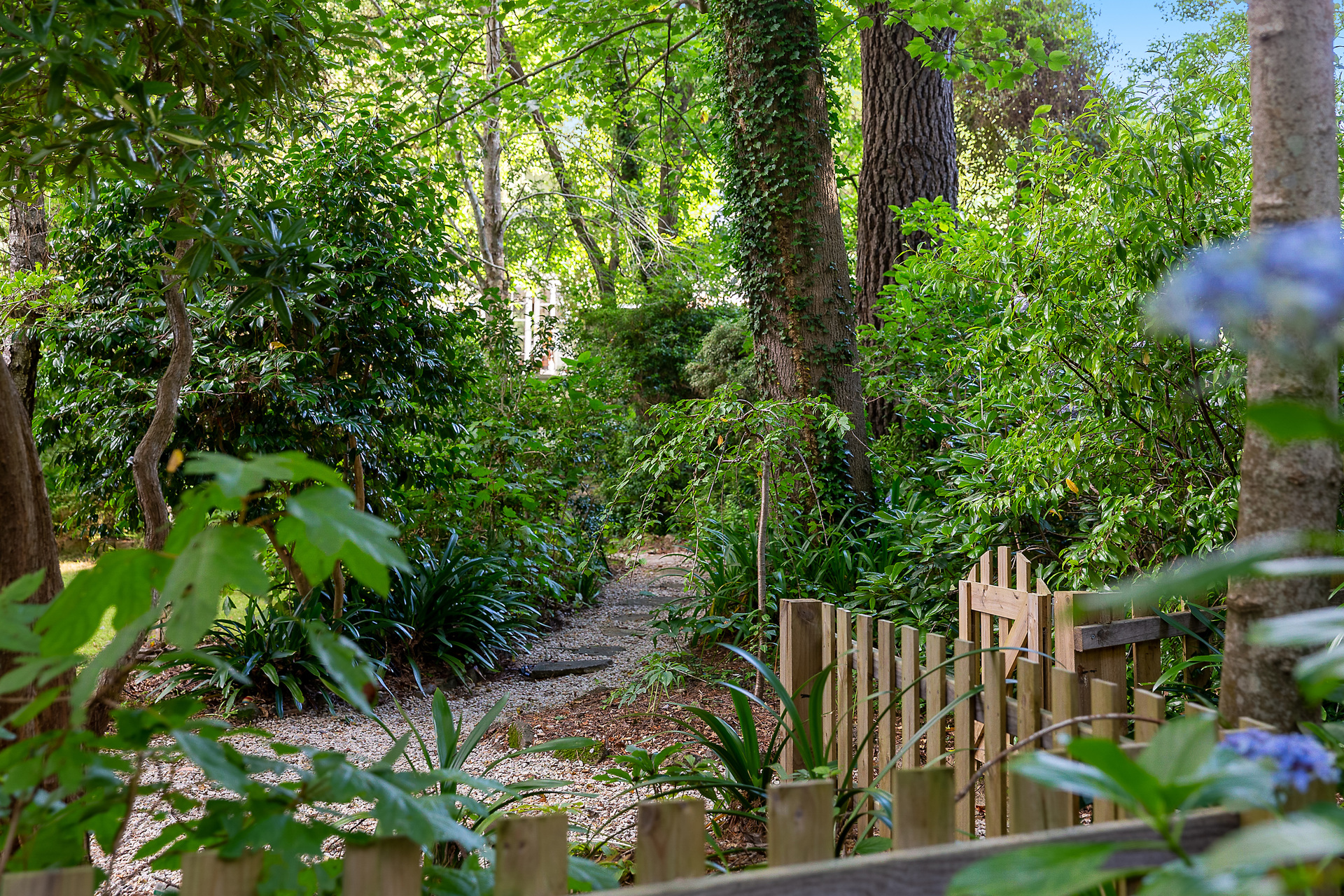 26 SCOTT AVENUE, Leura NSW 2780 - Image 2
