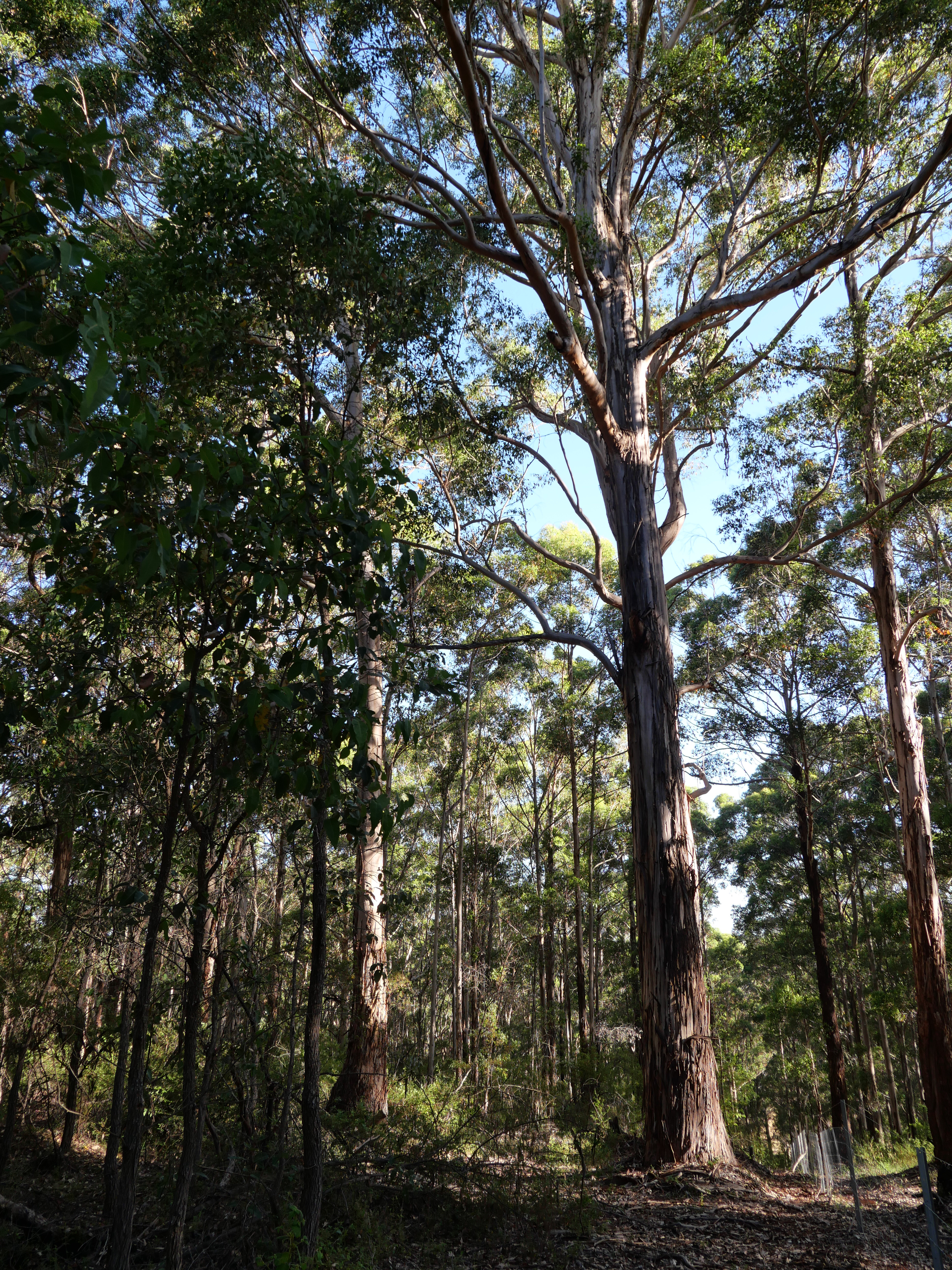 1-bedroom unit at 61 Hayes Road, East Nannup, WA 6275, Nannup, Western Australia