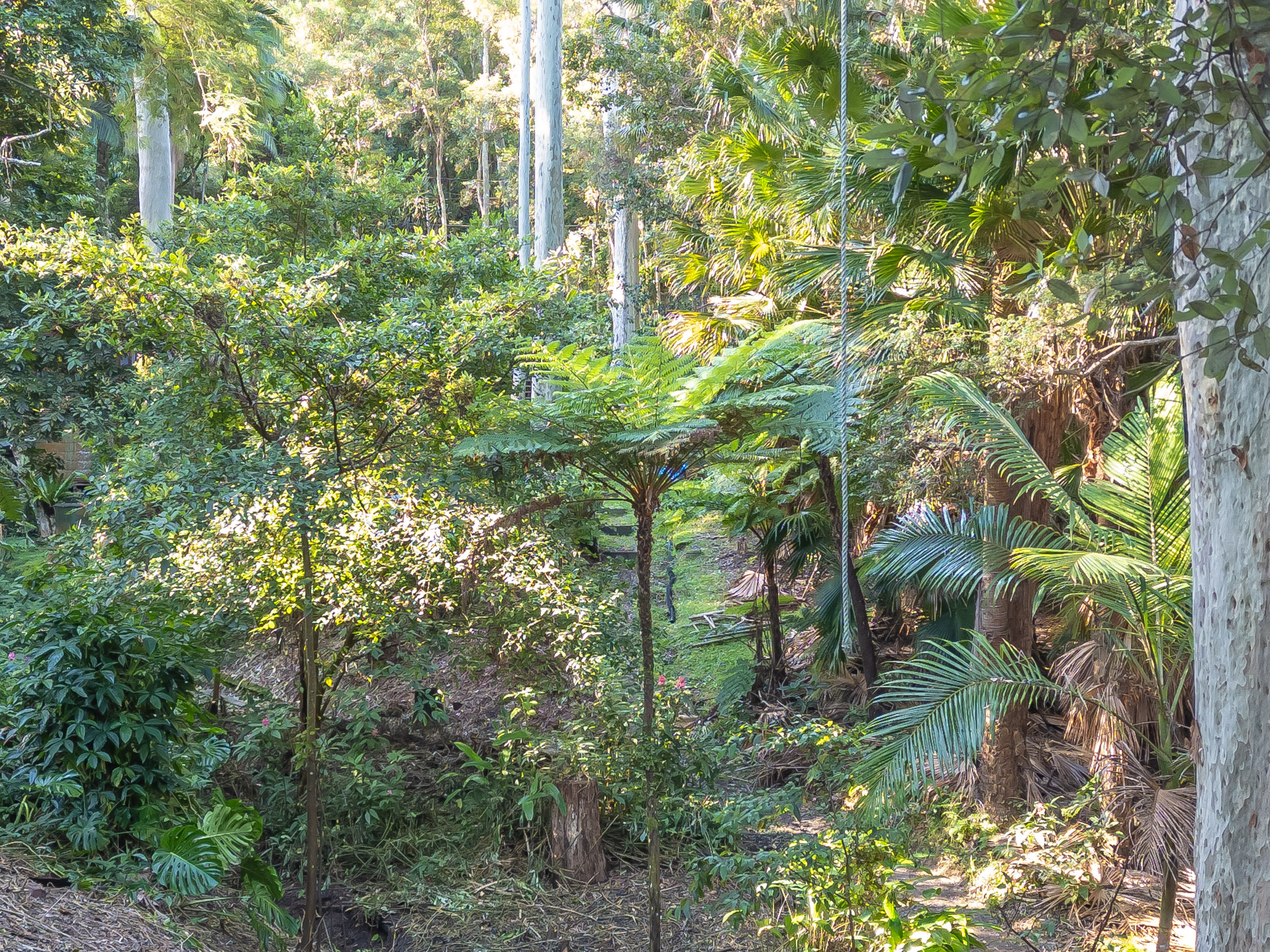 56 Richard Road, Scotland Island, Nsw, 2105 - Image 3
