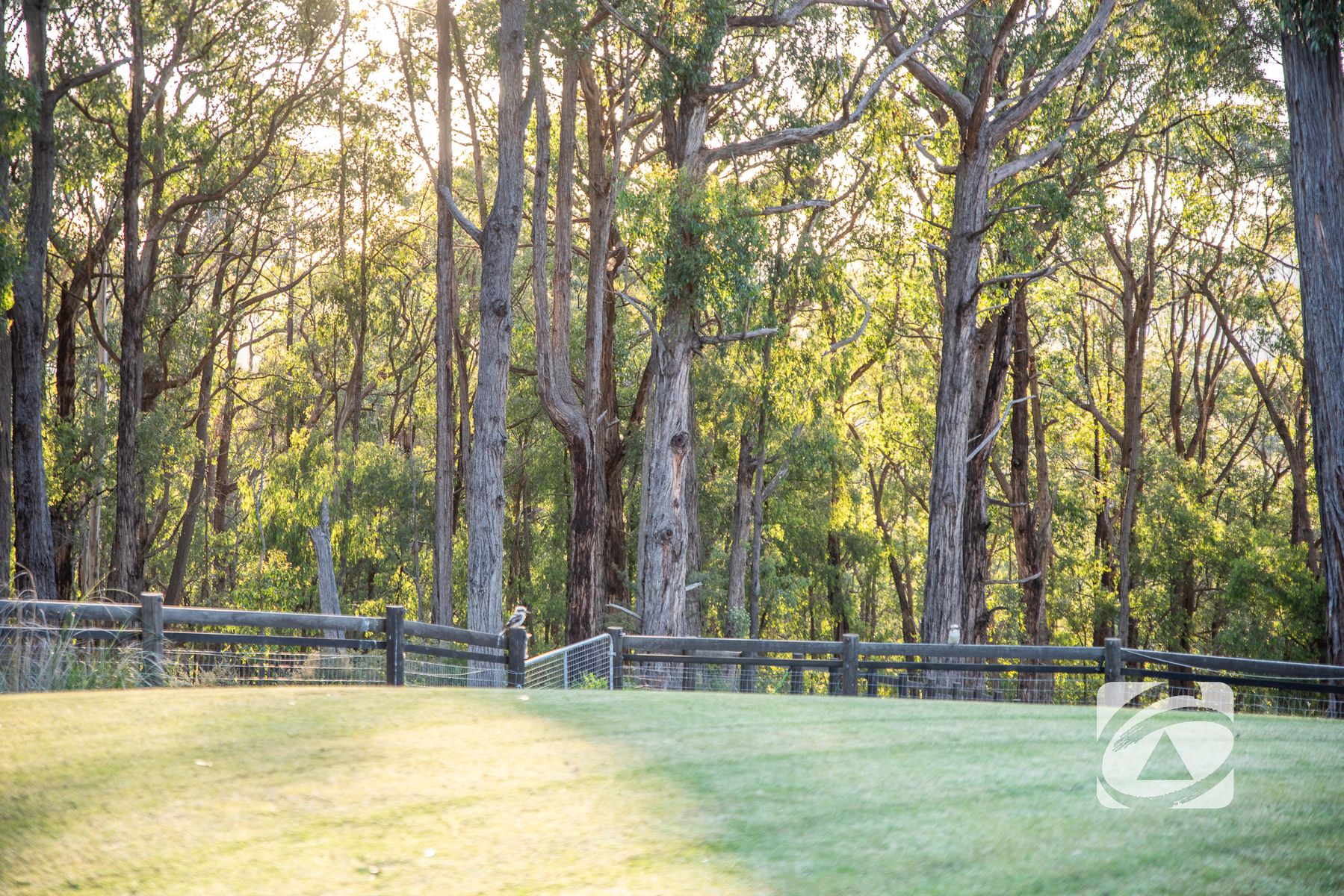 3-bedroom house at 300 GEMBROOK-TONIMBUK ROAD, Gembrook VIC 3783, Cardinia, Victoria