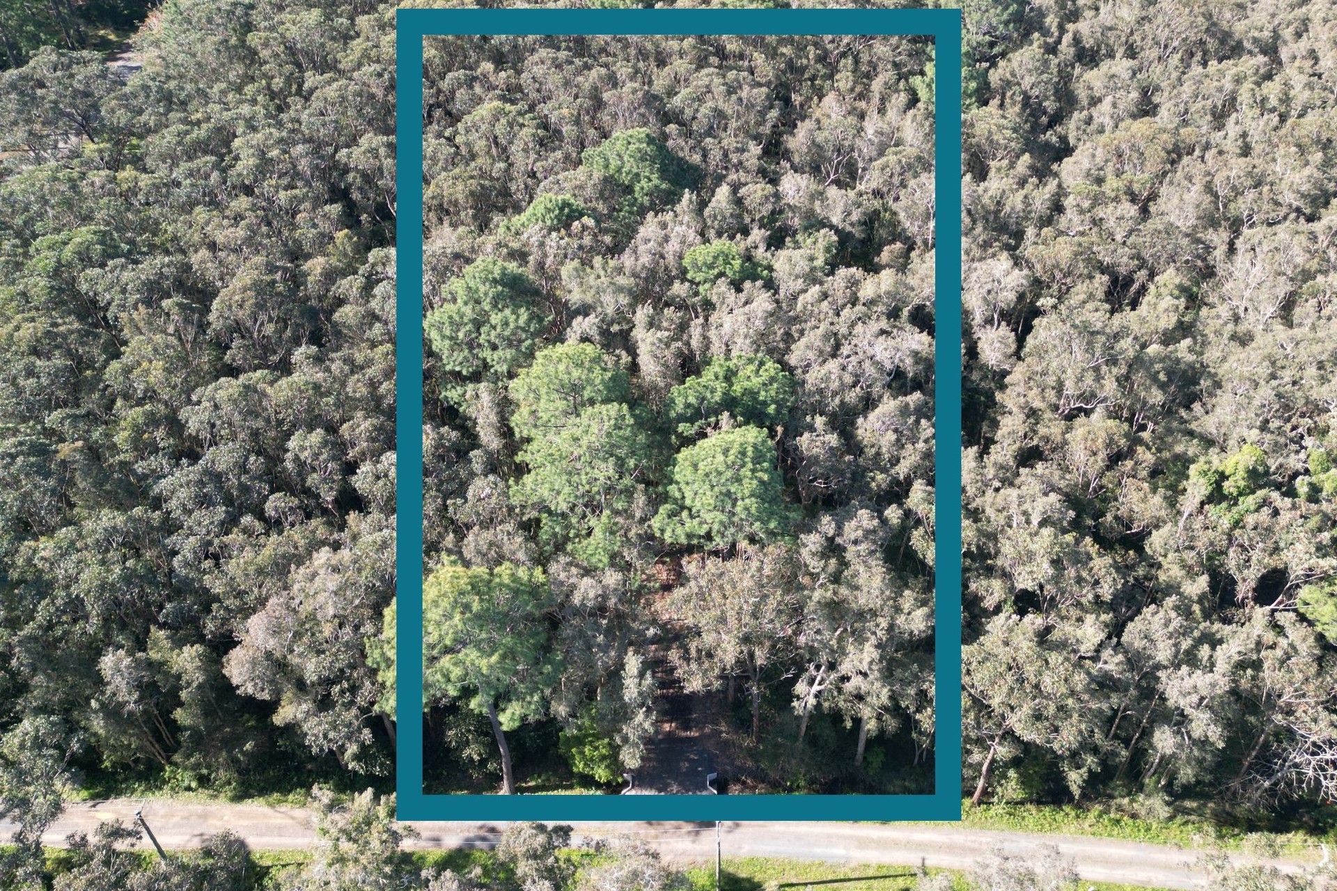 13 Kiora Street, Pindimar, Nsw, 2324 - Image 4