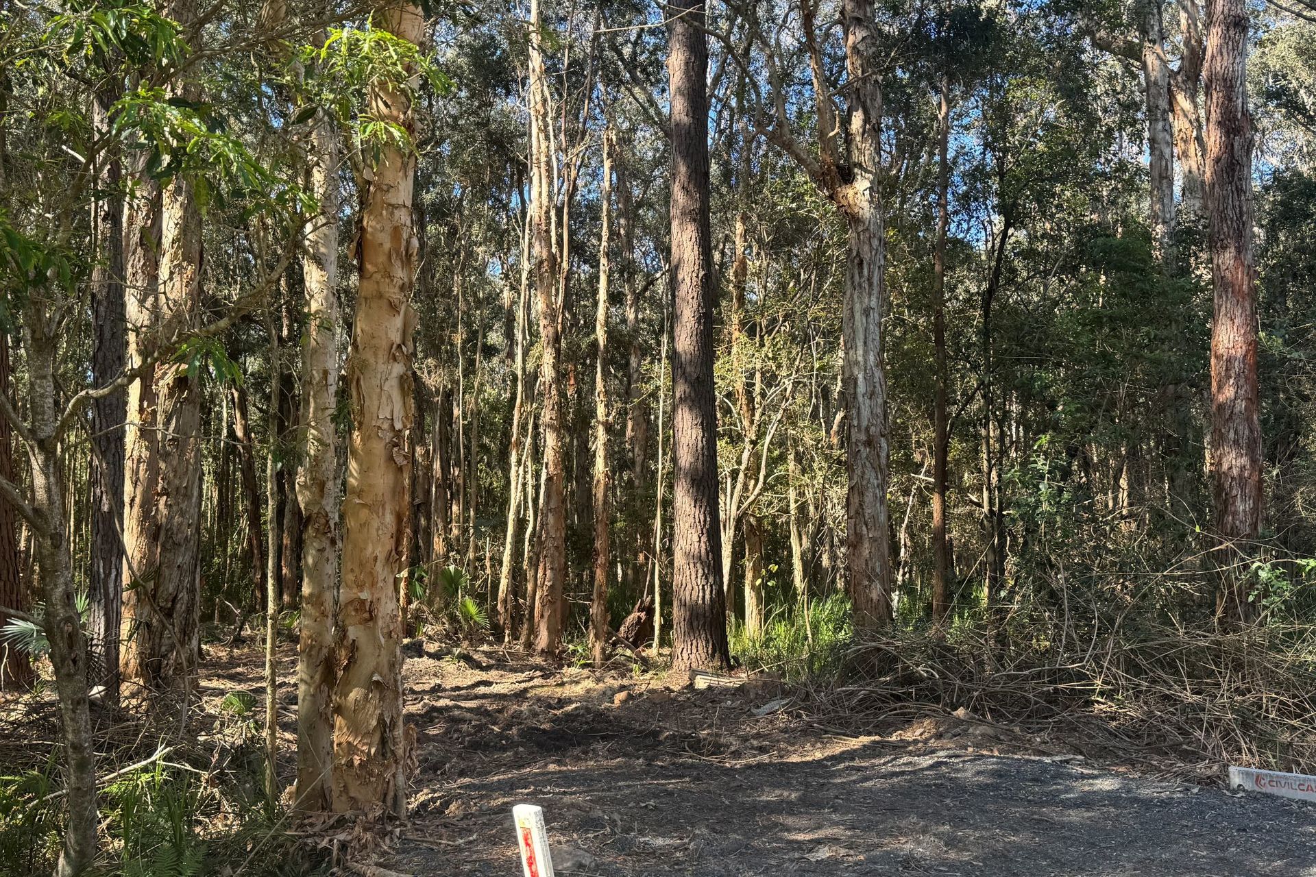 13 Kiora Street, Pindimar, Nsw, 2324 - Image 3