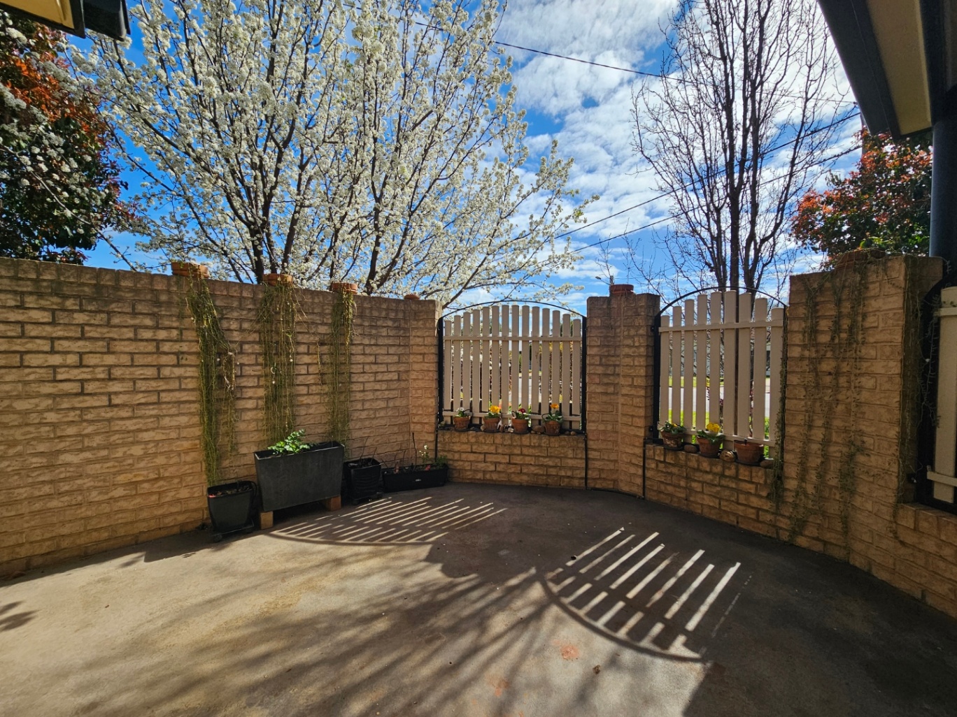 3-bedroom unit at 14 Wilga Street, Leeton, NSW 2705, Leeton, New South Wales