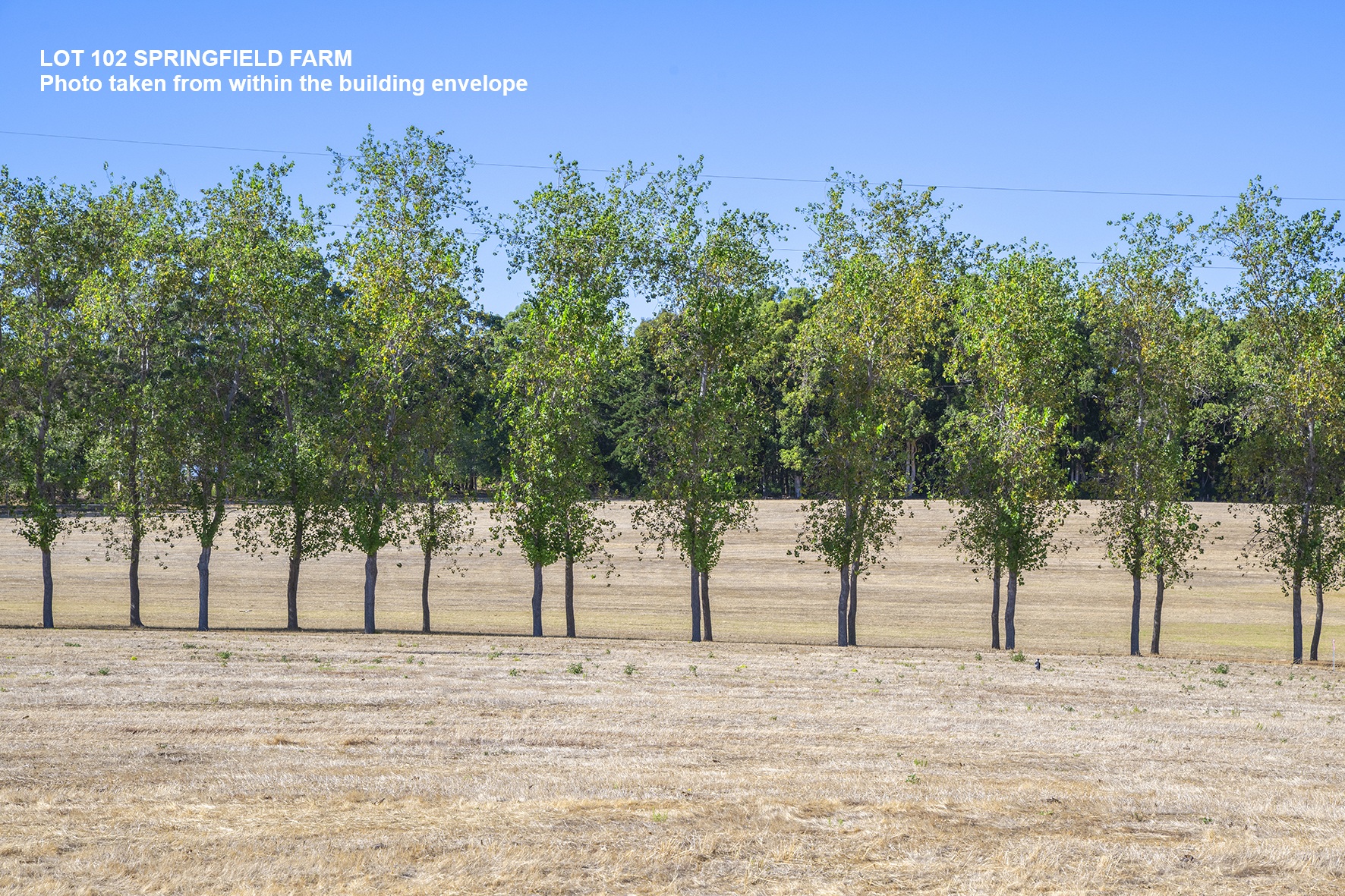 102 Springfield Farm, Yallingup, Wa, 6282 - Image 4
