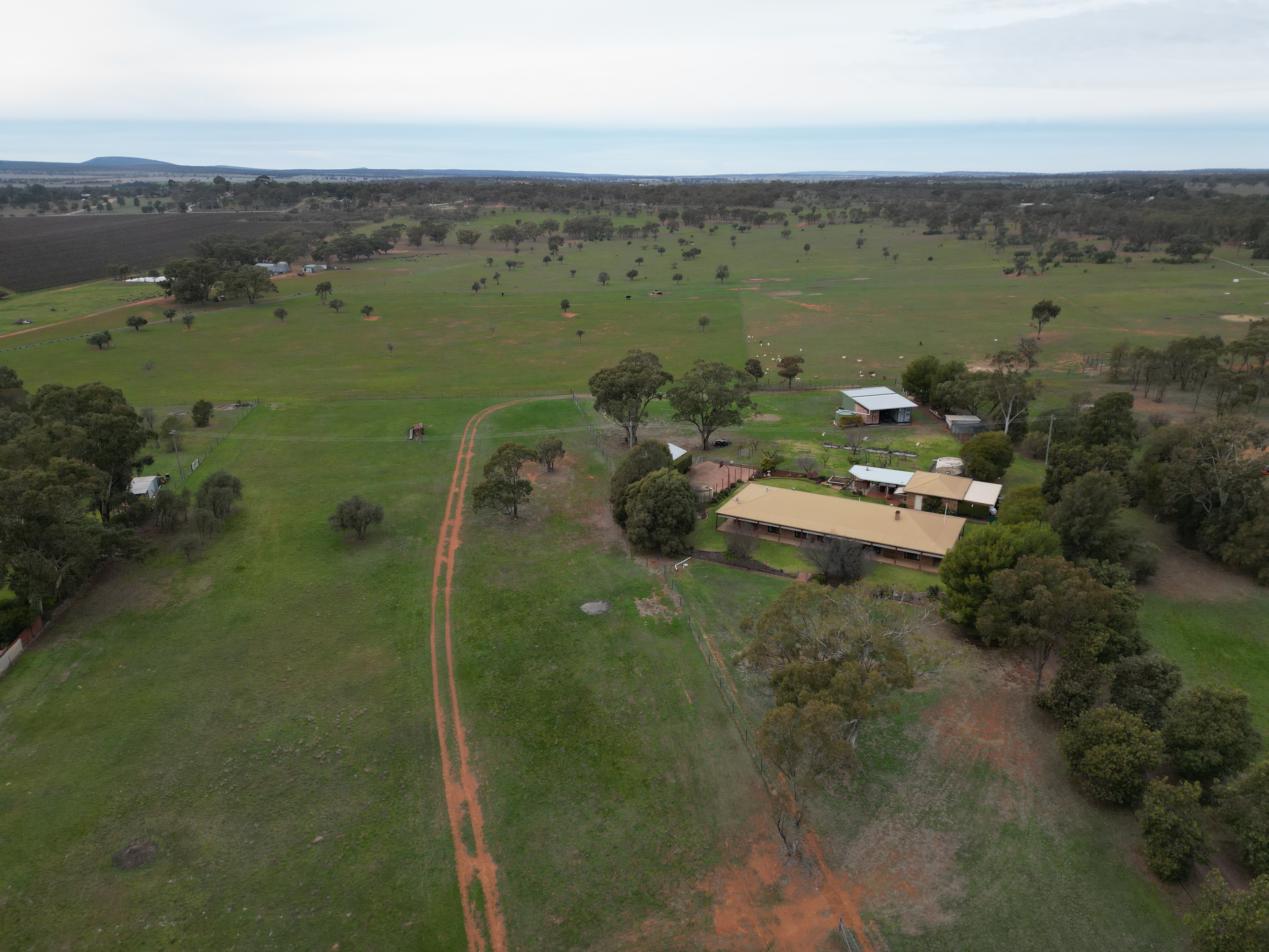 4-bedroom house at 114 Tabain Rd, Merungle Hill, Nsw, 2705, Leeton, New South Wales
