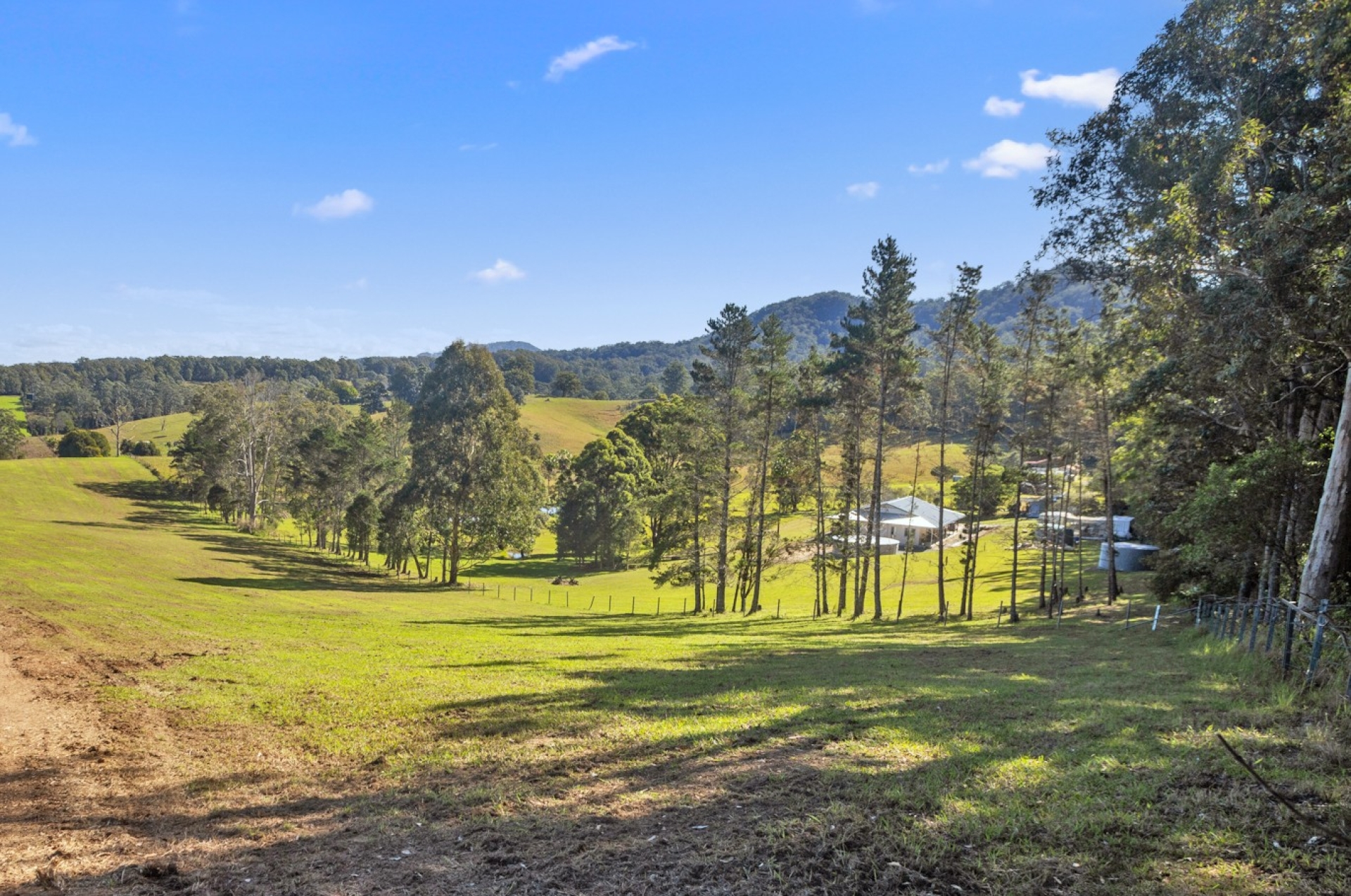 Lot 9 Soldier Settlers Road, Newee Creek, Nsw, 2447 - Image 6