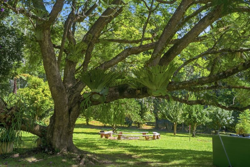 606 Darkwood Road, Bellingen, Nsw, 2454 - Image 1