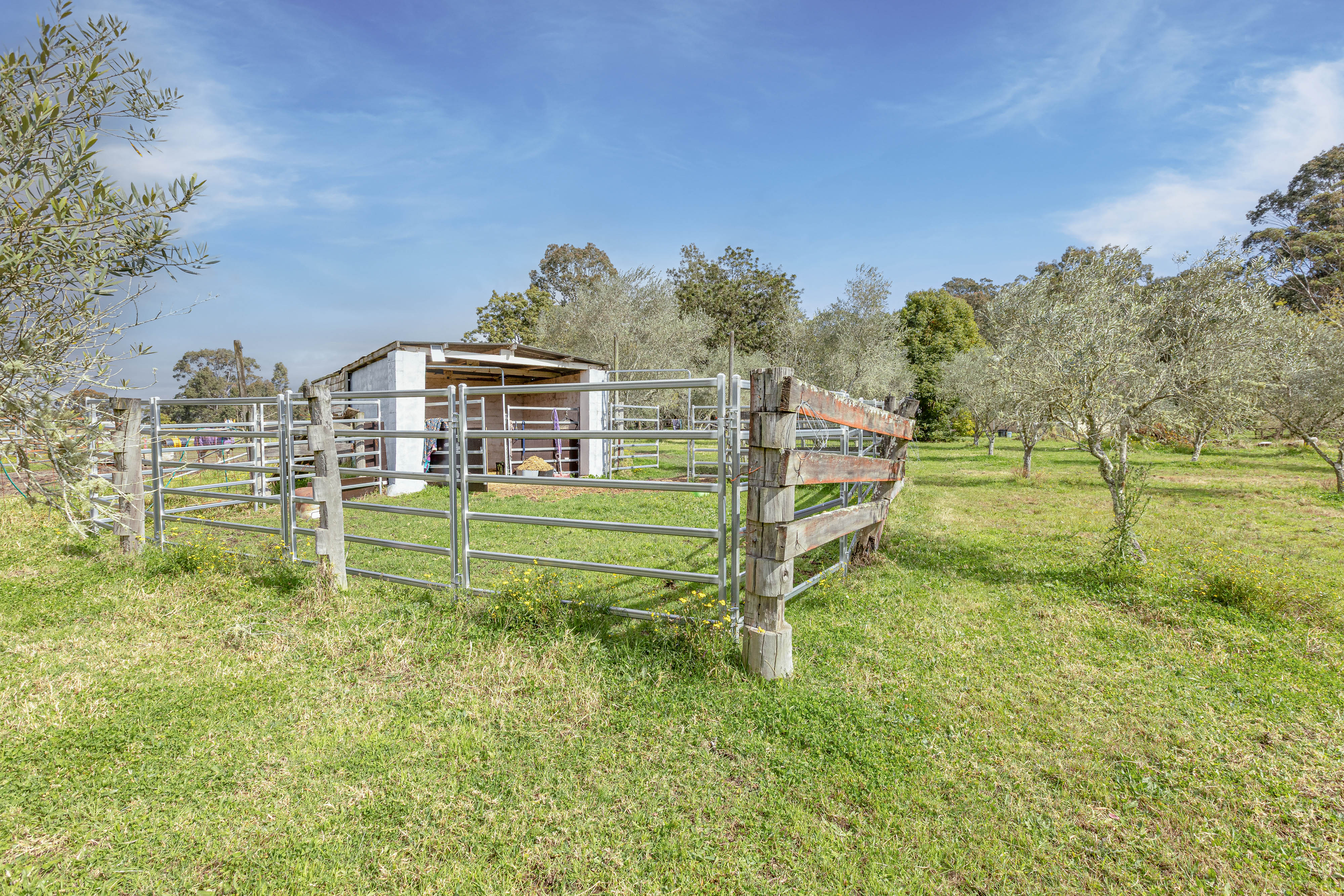 4-bedroom house at 124 Duns Creek Road, Duns Creek, Nsw, 2321, Port Stephens, New South Wales