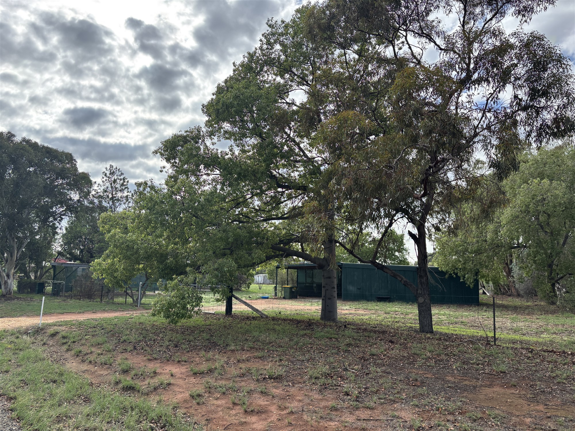 1-bedroom house at 37 Rankin Street, Oaklands, NSW 2646, Federation, New South Wales