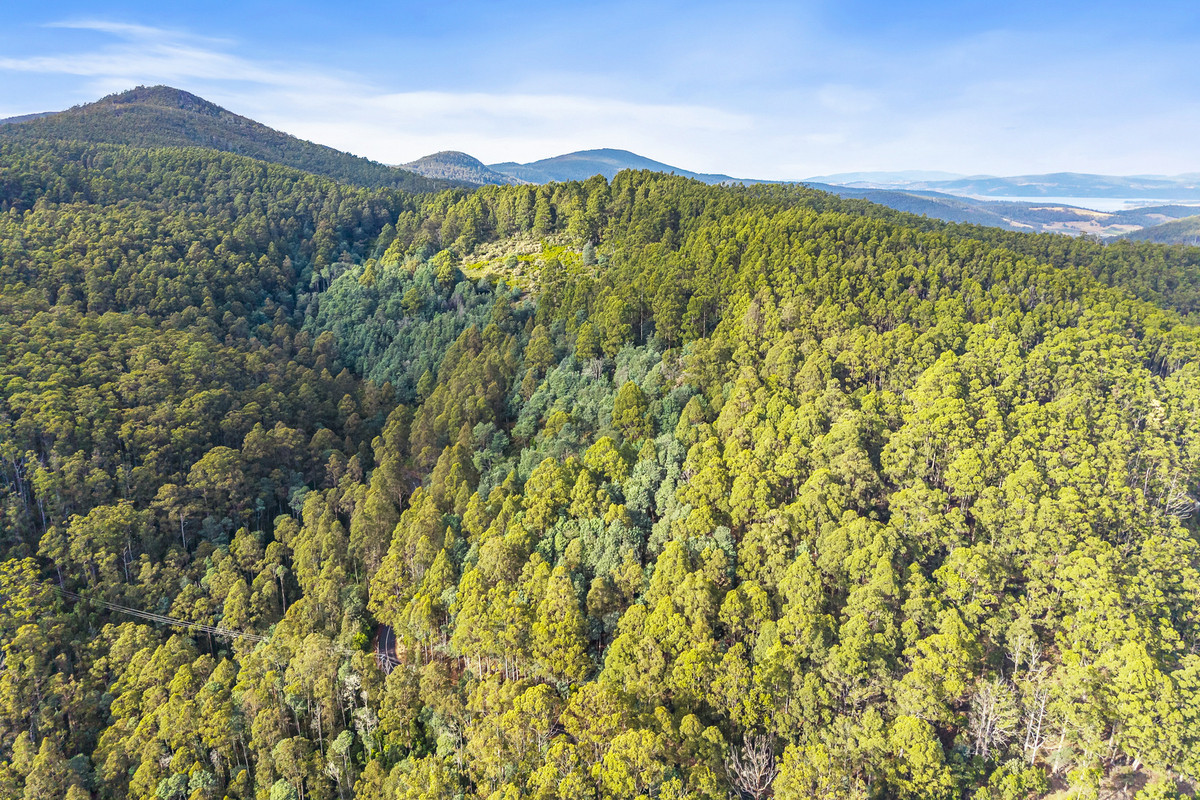 3 Nicholls Rivulet Road, Nicholls Rivulet, Tas, 7112 - Image 10