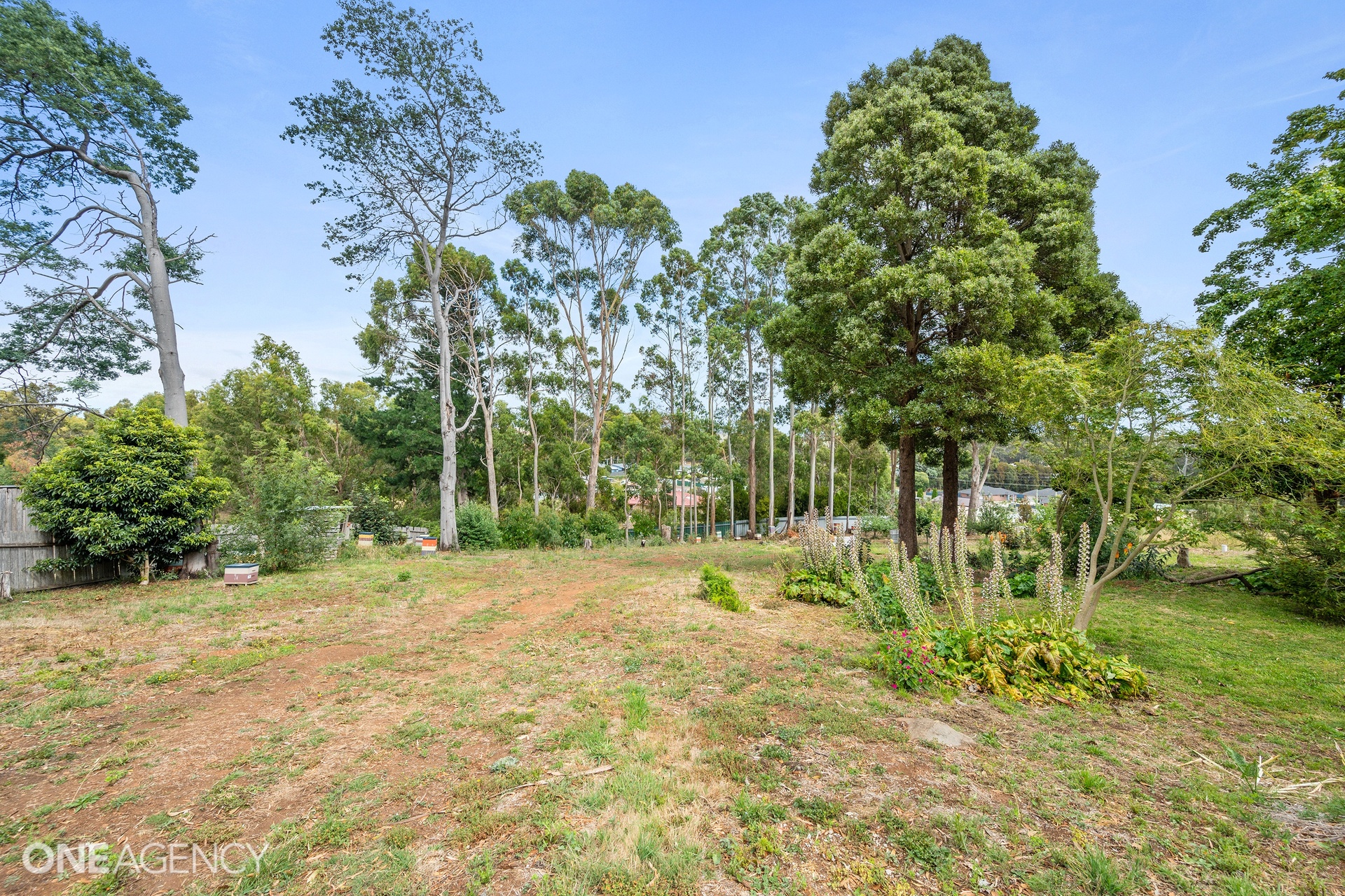 76 Hillcrest Road, Devonport, TAS 7310 - Image 7