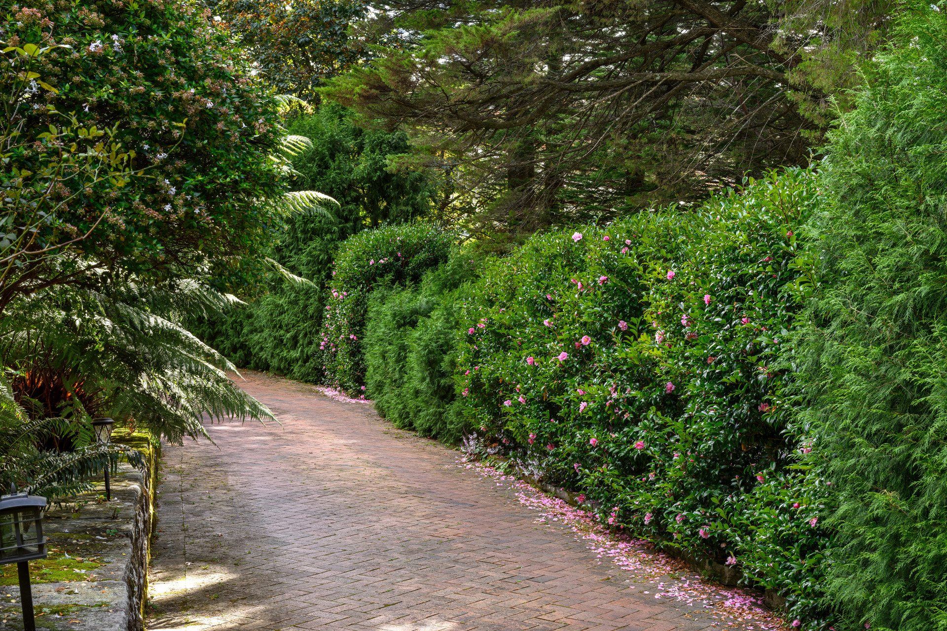 3-bedroom house at 116 Craigend Street, Leura, NSW 2780, Blue Mountains, New South Wales
