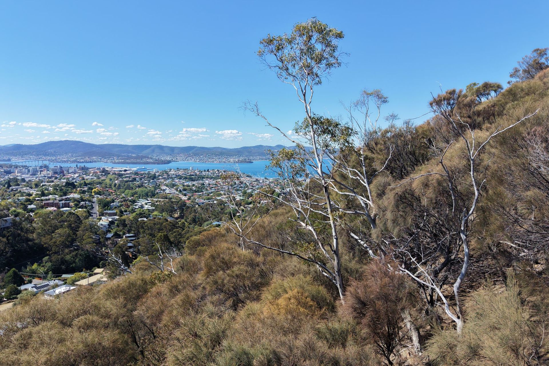 1-bedroom unit at 12 Montrivale Rise, Dynnyrne, TAS 7005, Hobart, Tasmania