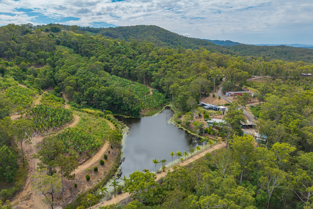 349 Jackson Road, Wamuran, Qld, 4512 - Image 4