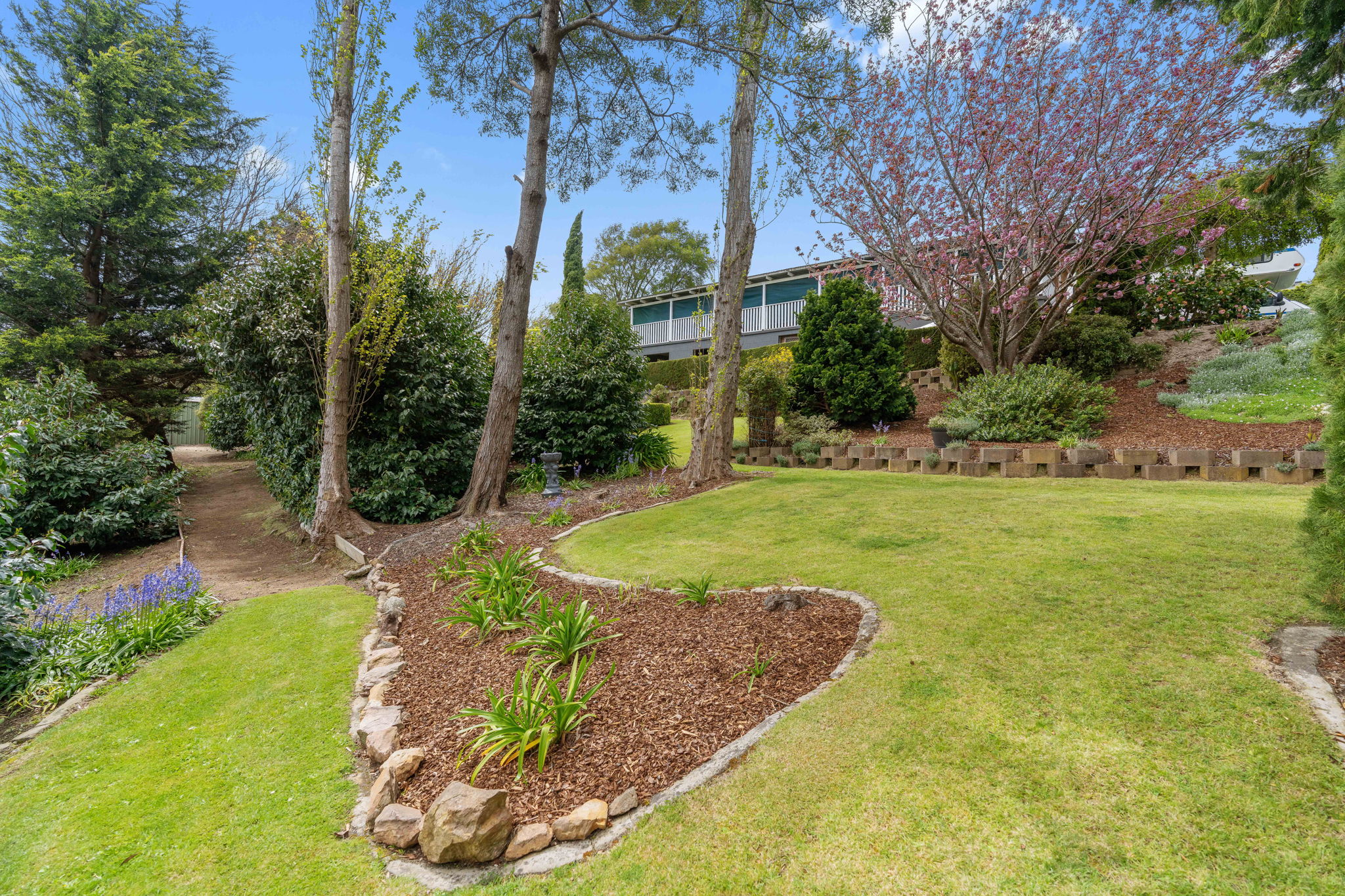 5-bedroom house at 5 Joyce Street, Branxholm, TAS 7261, Dorset, Tasmania
