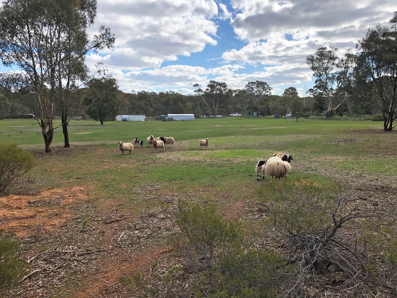 35 Wakefield Street, Wedderburn, Vic, 3518 - Image 8