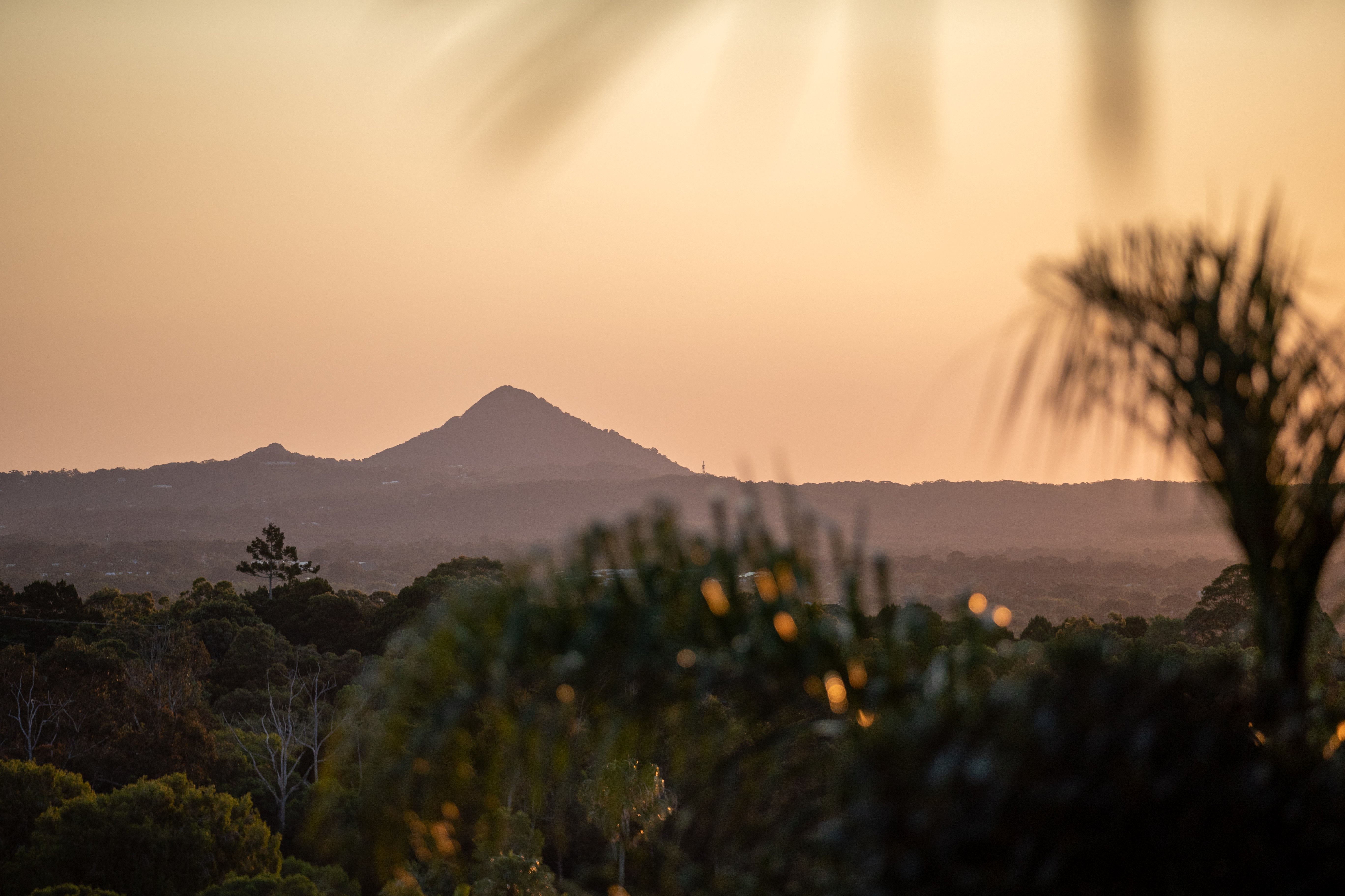 1 9 BERRIMA ROW, NOOSA HEADS QLD 4567 - Image 3