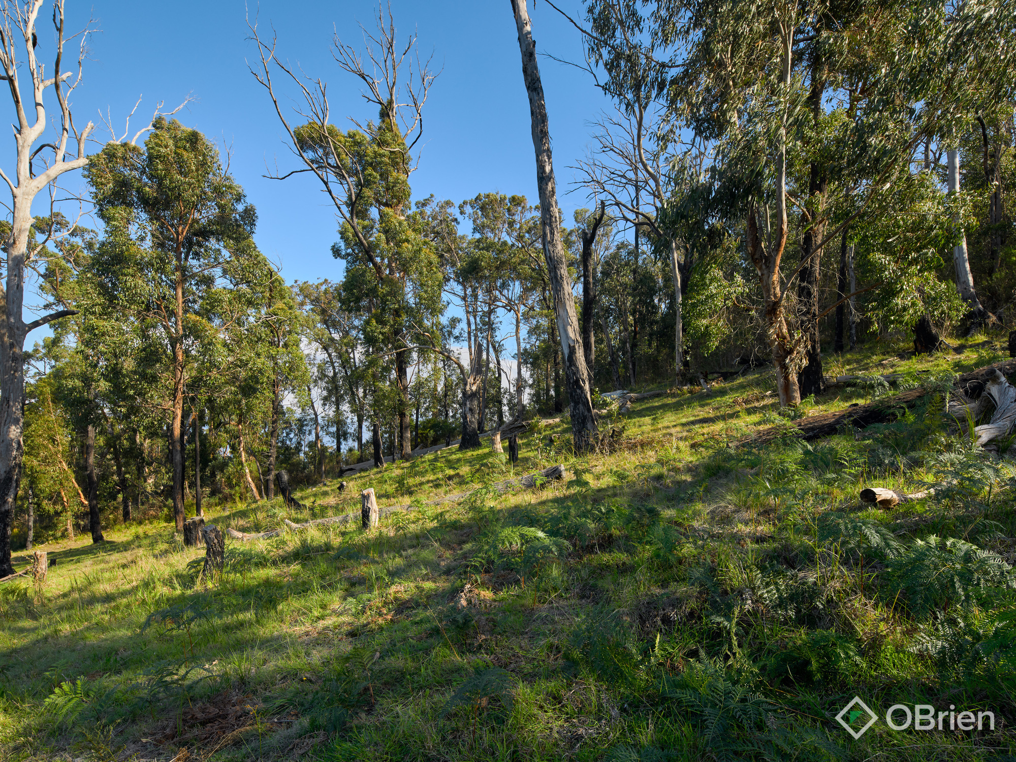 3-bedroom house at 40 Wallaby Court, Garfield North, VIC 3814, Cardinia, Victoria