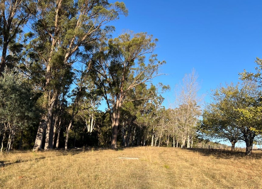 4-bedroom house at 2204 EAST TAMAR HIGHWAY, Mount Direction TAS 7252, George Town, Tasmania