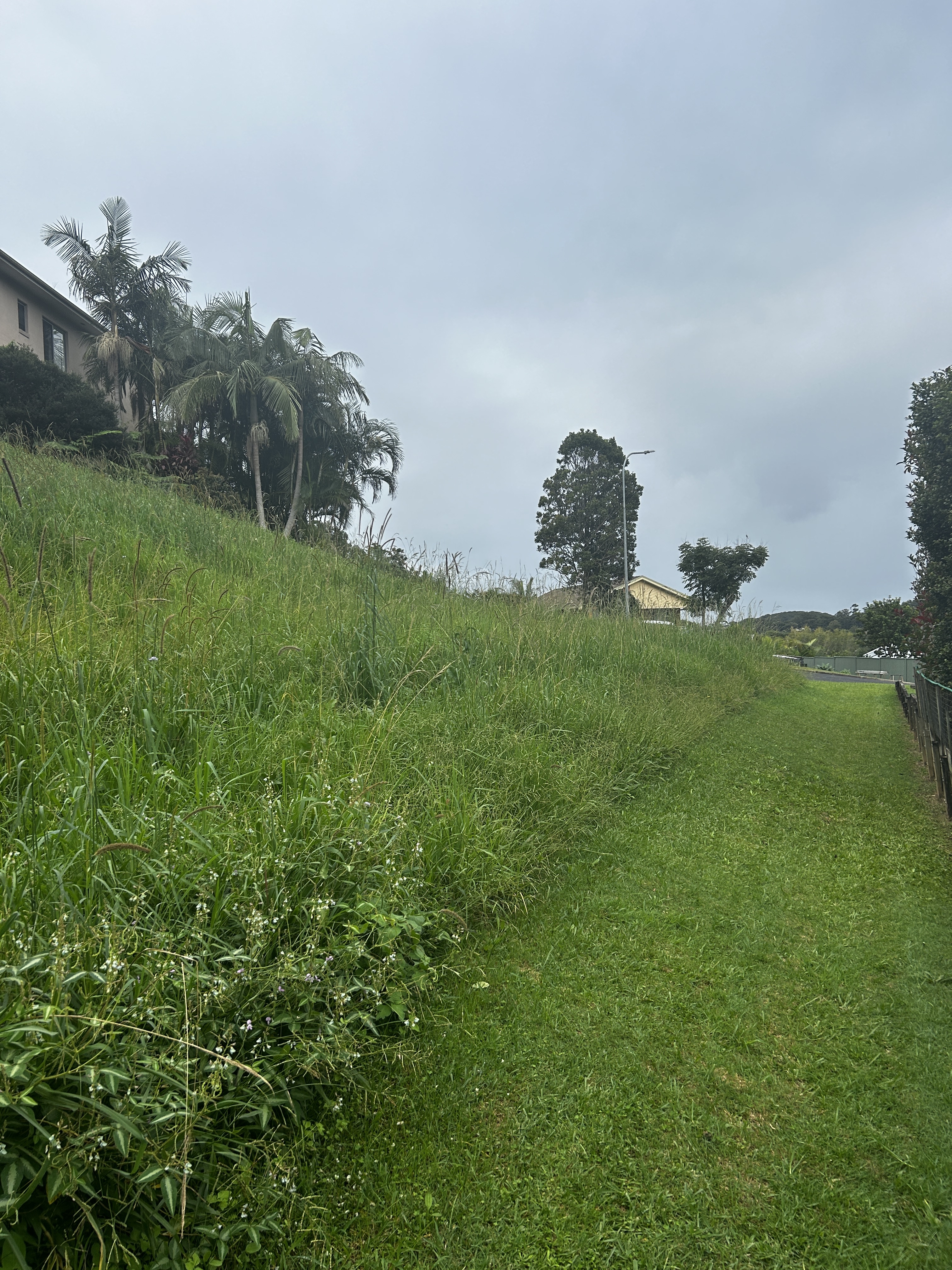 8 Gallagher Place, Coffs Harbour, NSW 2450 - Image 4