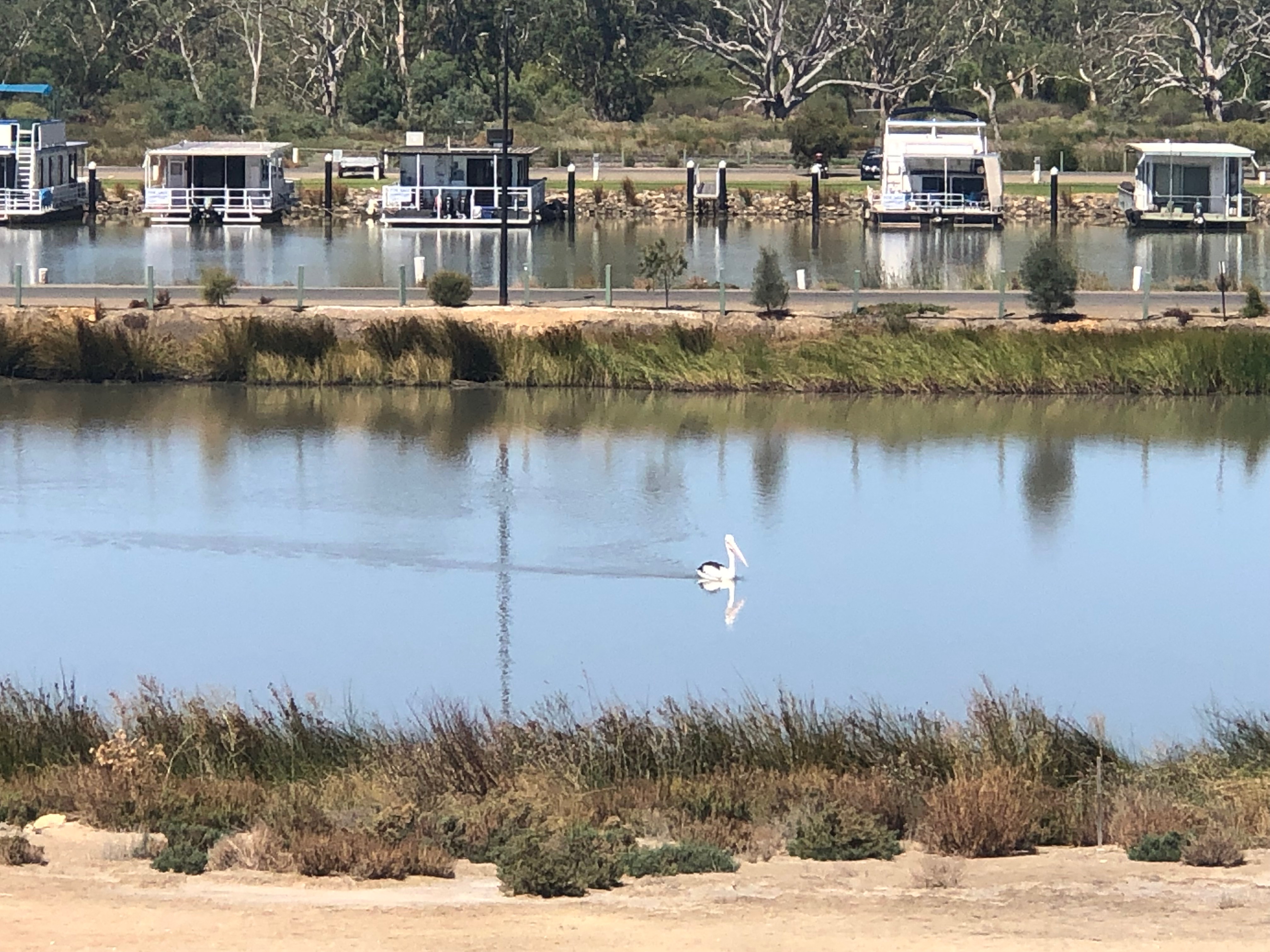Allotments Honeyeater Drive, Mannum, Sa, 5238 - Image 4