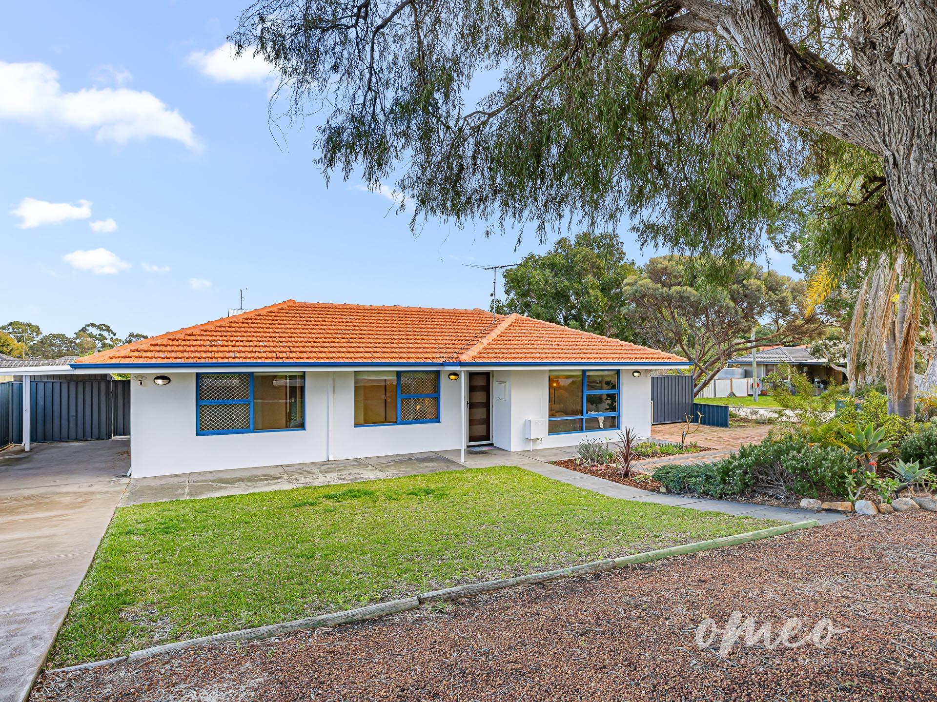 19 Skeahan Street, Spearwood, WA 6163 - Image 1