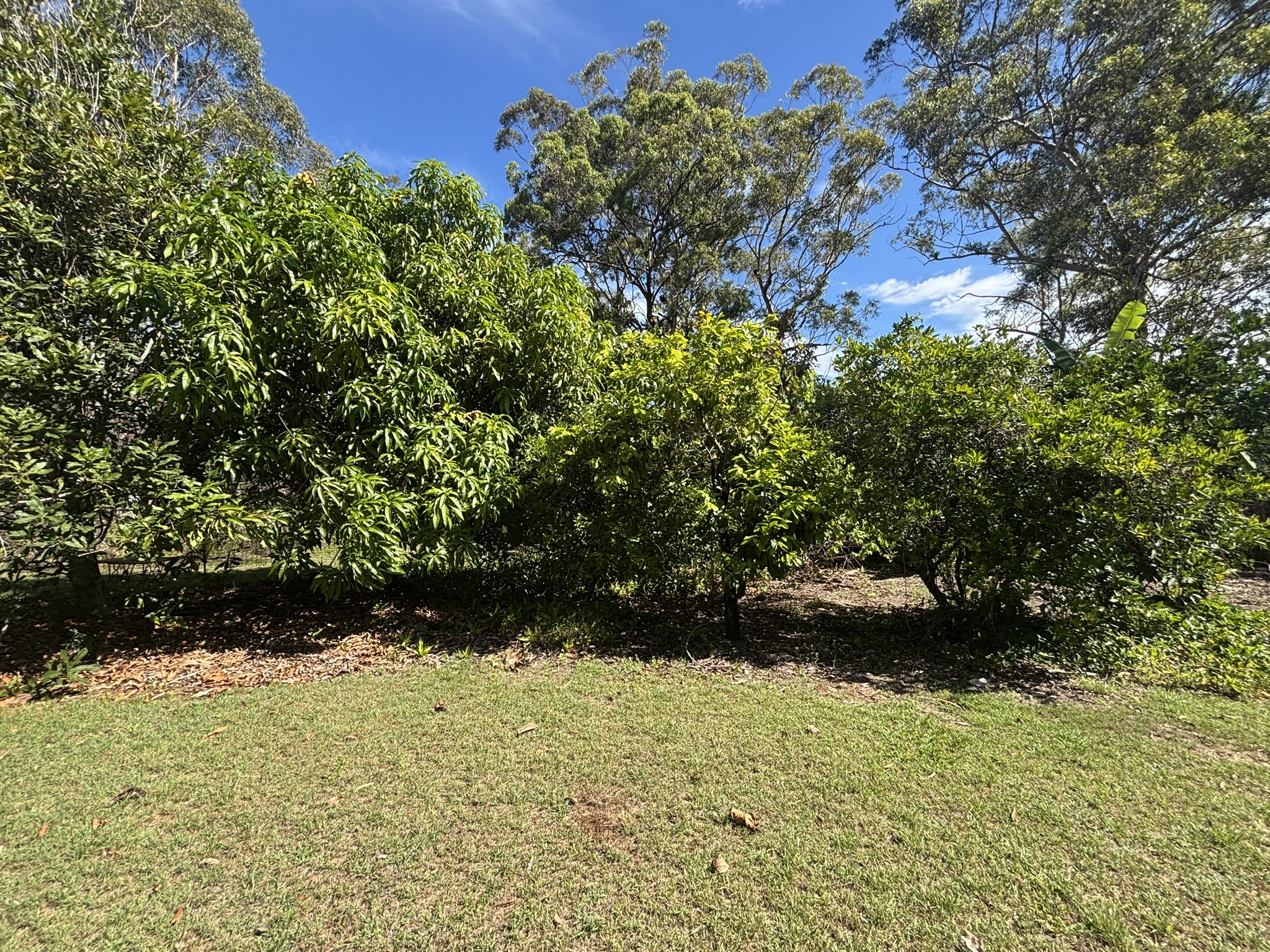 2-bedroom house at 40 Deenya Parade, Russell Island, QLD 4184, Redland, Queensland