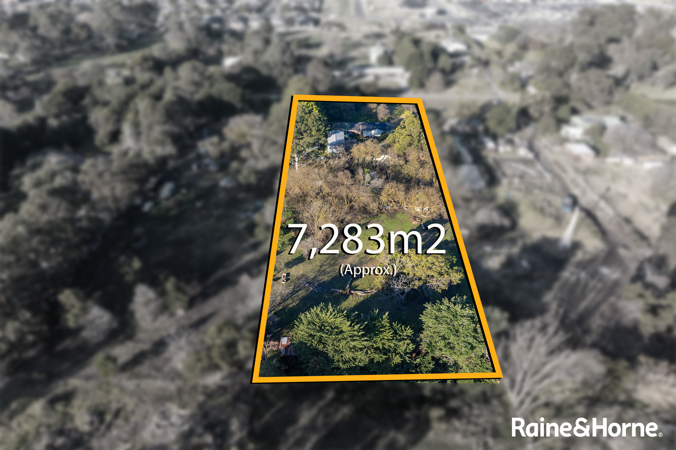 41 Collison Road, Cranbourne East VIC 3977 - Image 1