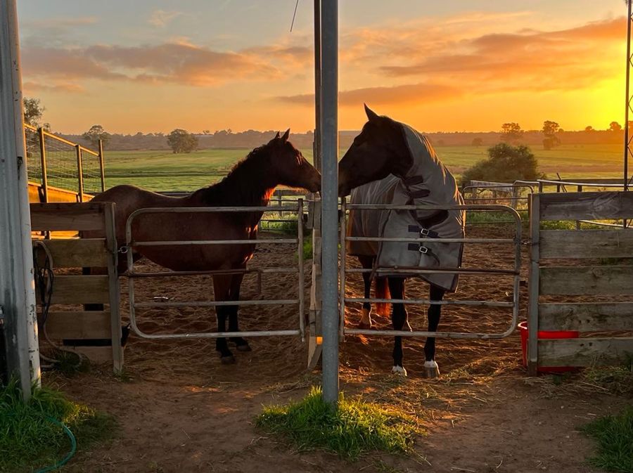 4-bedroom house at 249 The Point Road, Jervois, Sa, 5259, Murray Bridge, South Australia