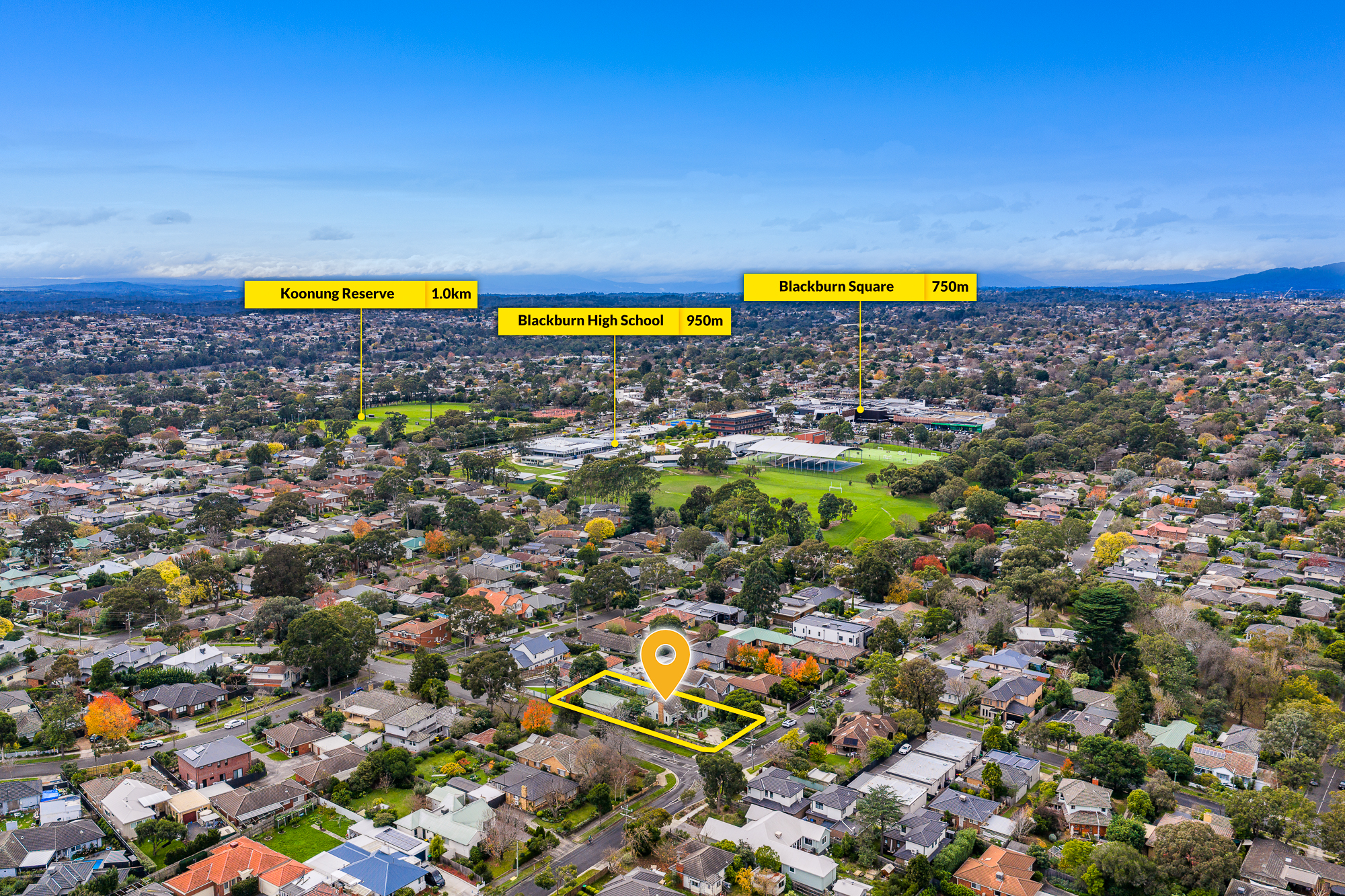 21 Stanley Grove, Blackburn, VIC 3130 - Image 3
