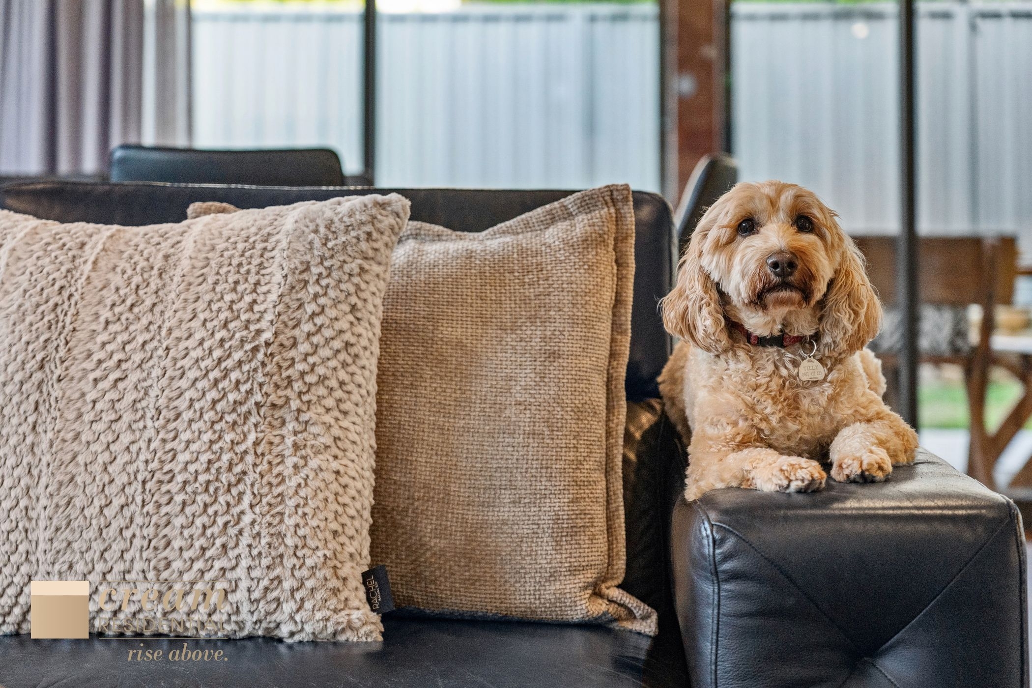 4-bedroom house at 66 Cornelius Street, Coombs, ACT 2611, Unincorporated Act, Australian Capital Territory