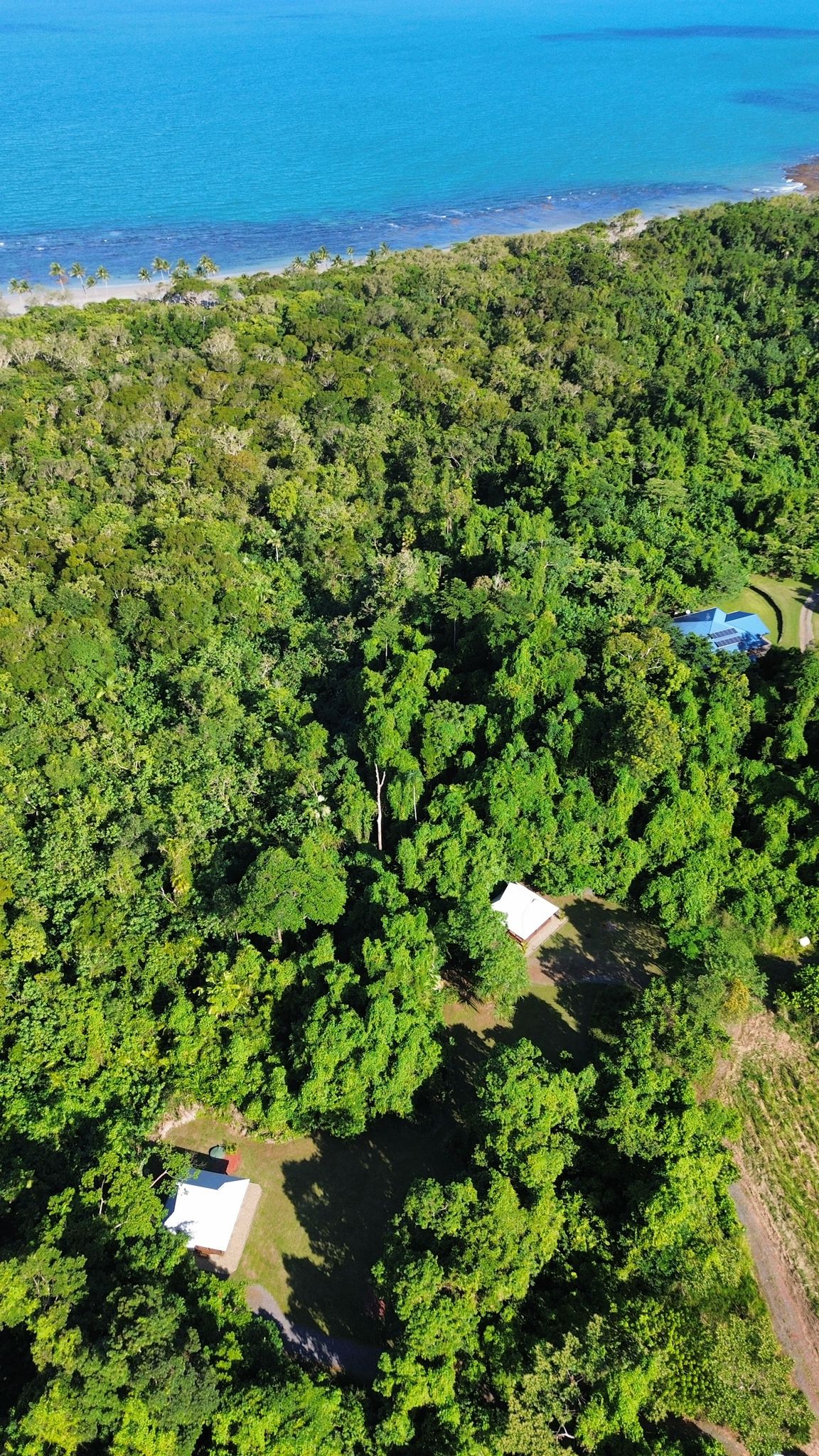 5-bedroom house at Lot 4 Cape Tribulation Road, Cape Tribulation, QLD 4873, Douglas, Queensland