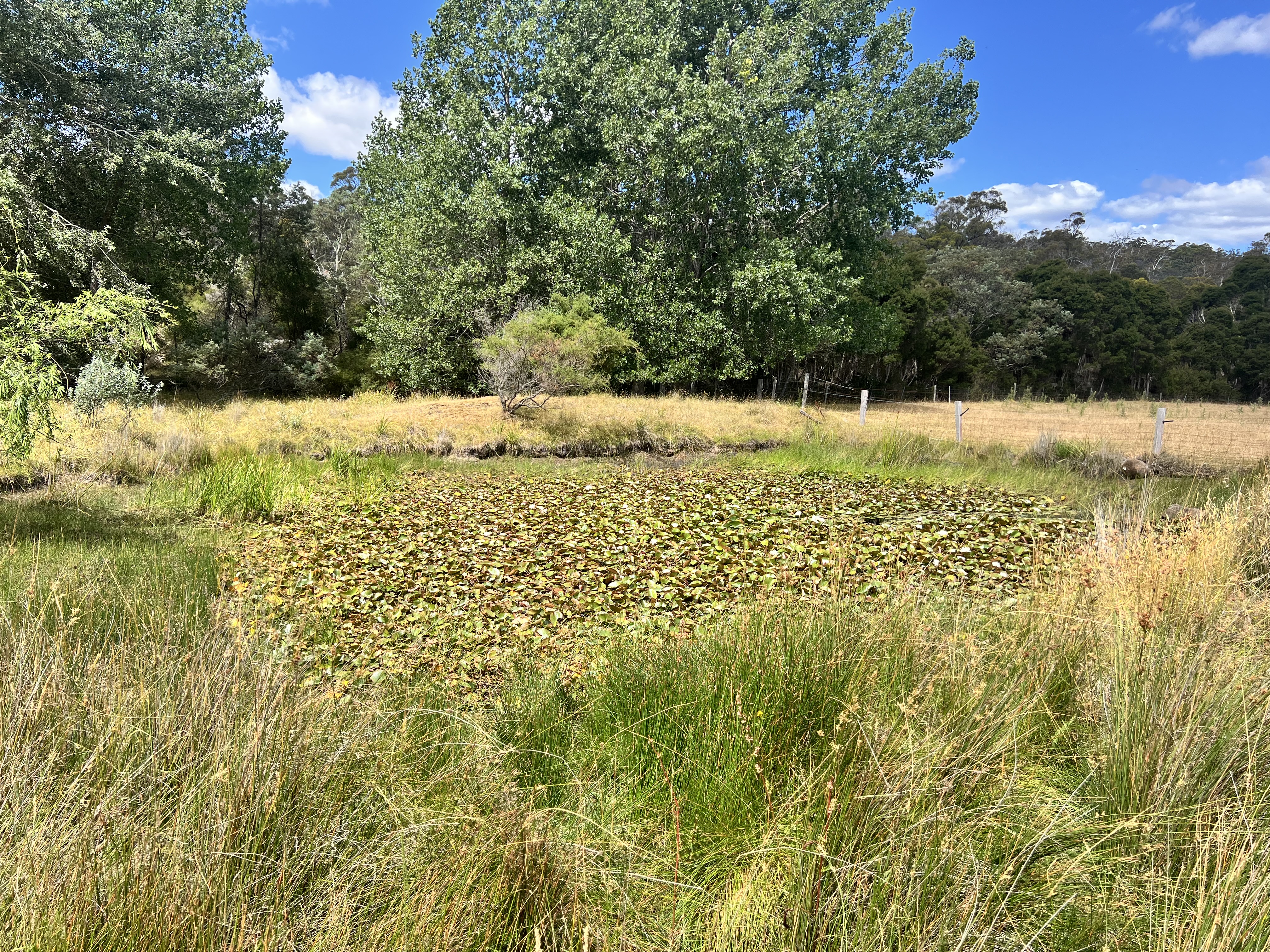 4-bedroom house at 2204 EAST TAMAR HIGHWAY, Mount Direction TAS 7252, George Town, Tasmania