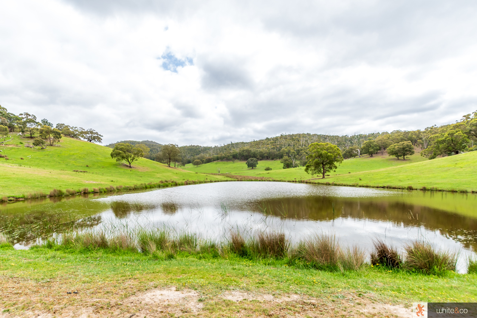 200 Dalls Road, Whittlesea, Vic, 3757 - Image 4