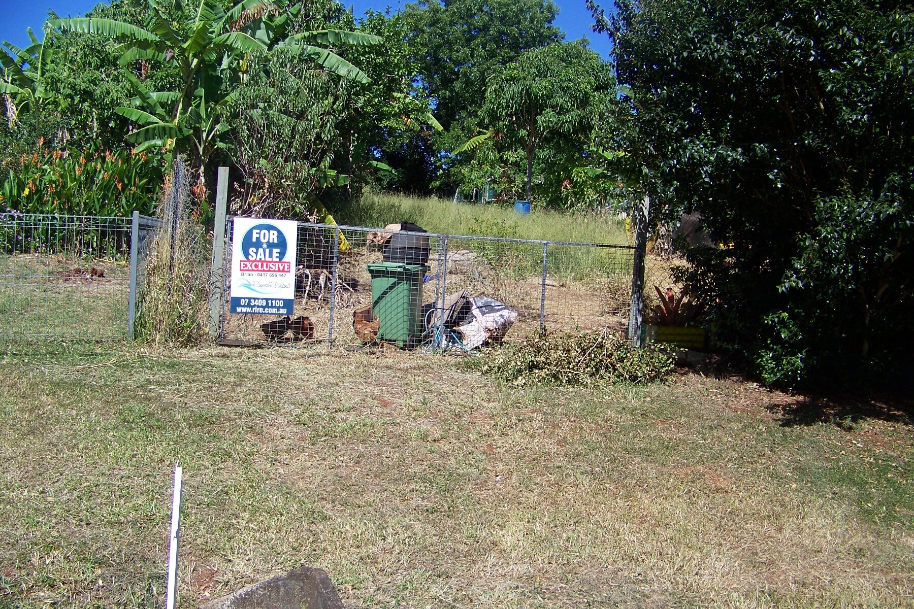 29 Pine Avenue, Lamb Island, Qld, 4184 - Image 1