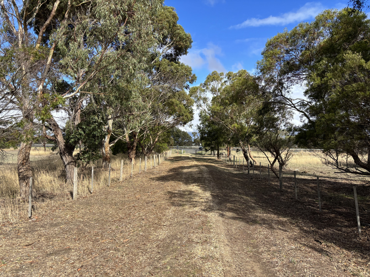 3410 Princes Highway, Winchelsea, Vic, 3241 - Image 6