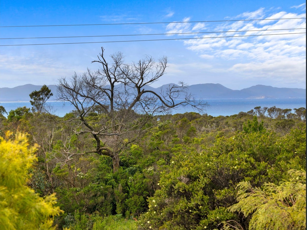 63 ACACIA ROAD, Walkerville VIC 3956 - Image 4