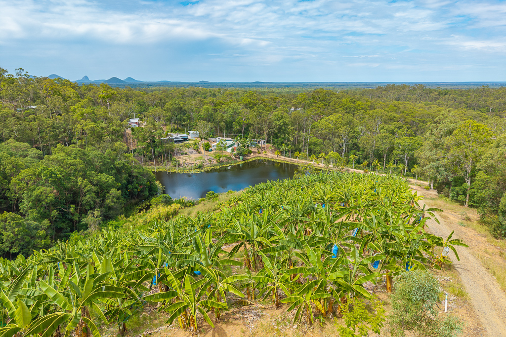 349 Jackson Road, Wamuran, Qld, 4512 - Image 1