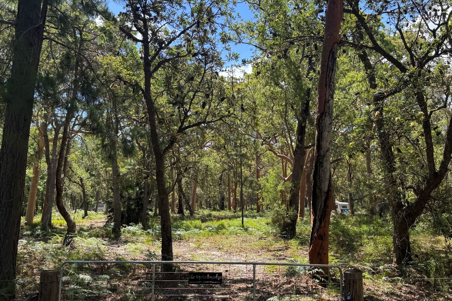 127 Koree Street, Pindimar, Nsw, 2324 - Image 6