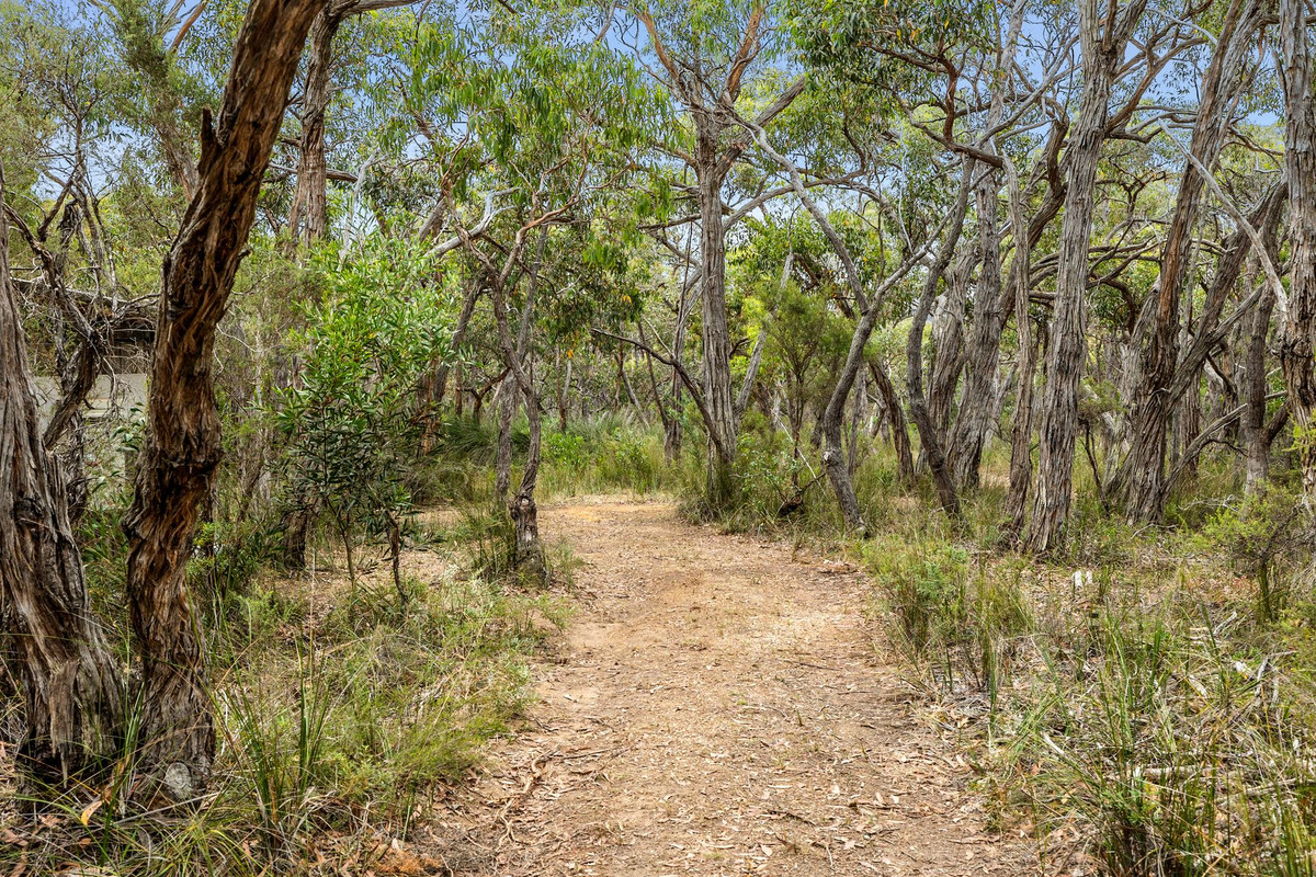4-bedroom house at 335 Elkington Road, Bellbrae, Vic, 3228, Surf Coast, Victoria
