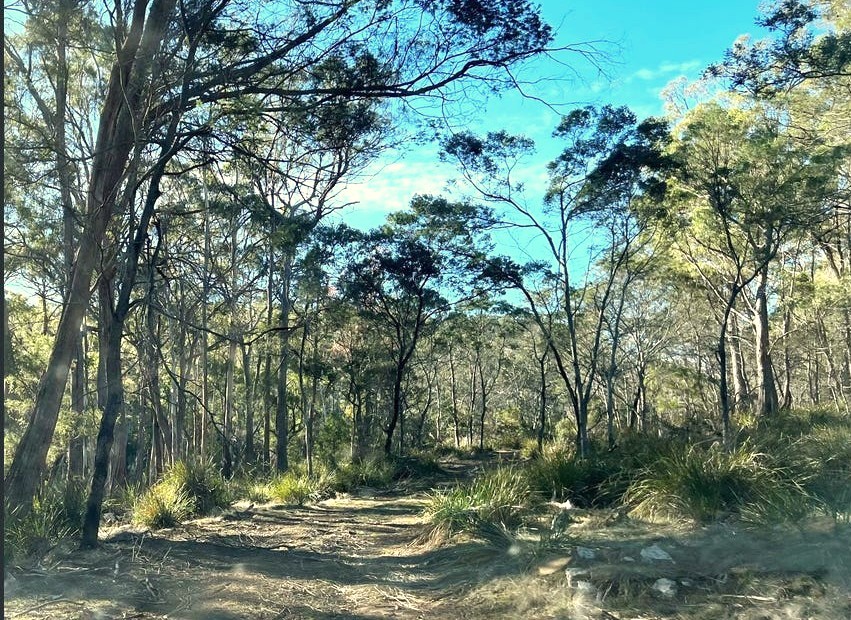 4-bedroom house at 2204 EAST TAMAR HIGHWAY, Mount Direction TAS 7252, George Town, Tasmania