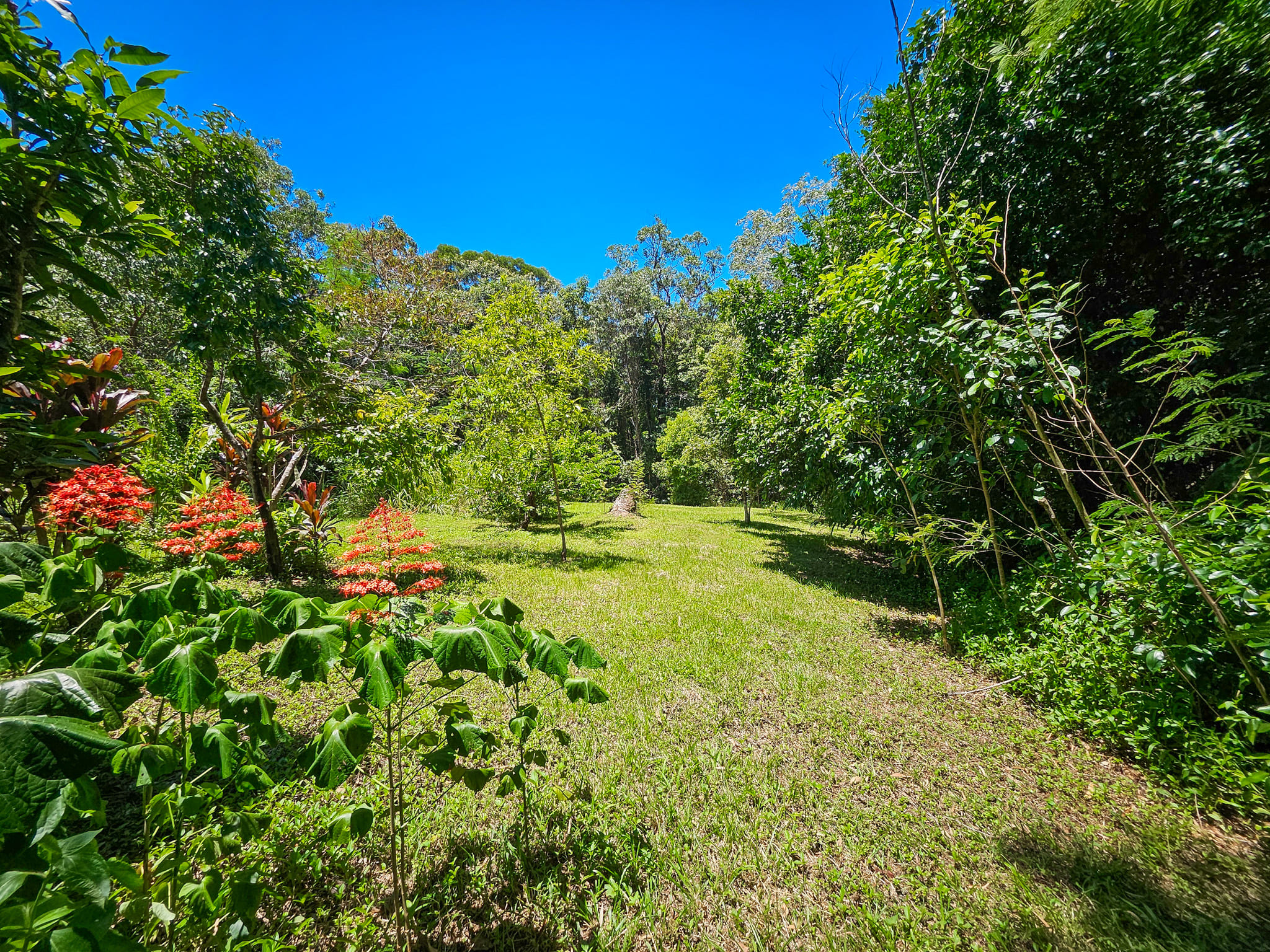 3-bedroom house at 6 Byers Creek Road, Rossville, QLD 4895, Cook, Queensland