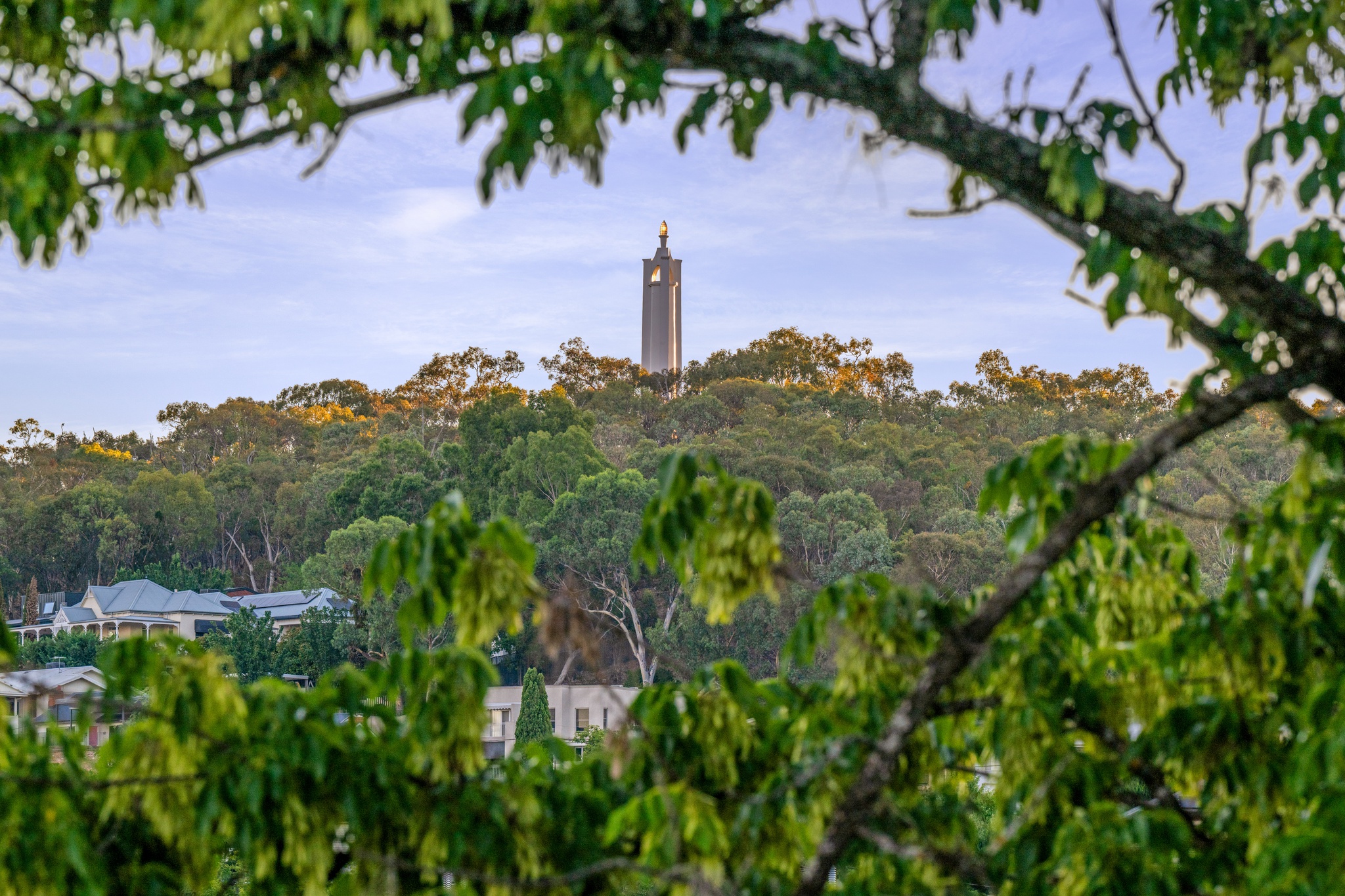 5-bedroom house at 696 FORREST HILL AVENUE, Albury NSW 2640, Albury, New South Wales